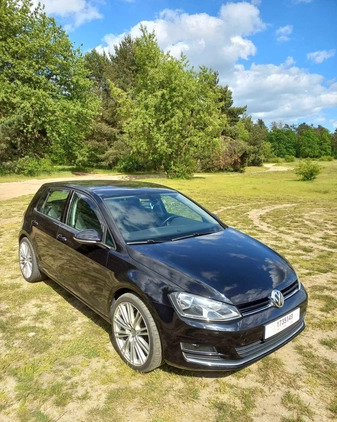 Volkswagen Golf cena 35000 przebieg: 248000, rok produkcji 2013 z Dębno małe 67